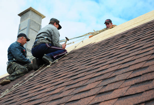 Best Metal Roofing Contractor  in Pontoon Beach, IL